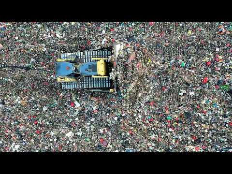 #119: AI Growth Meets Regulatory Challenges