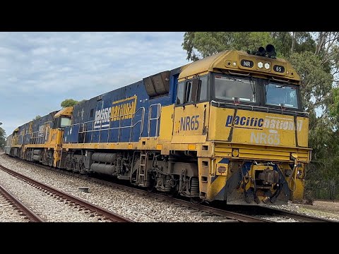 Pacific National freight: 5MP5 through Lynton station with NR65, NR17 & NR71 leading 