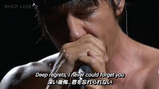 【和訳】Red Hot Chili Peppers - Goodbye Angels (Live)