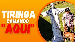 COMANDO AQUI COM MUITO POWER