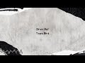 Drain Me Towa Bird Lyrics