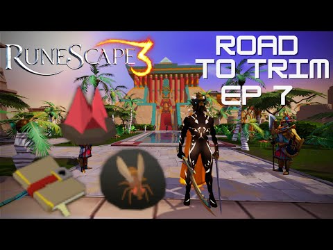 Road to Trim (ep 7) - I got the SANDY title in 72 HOURS