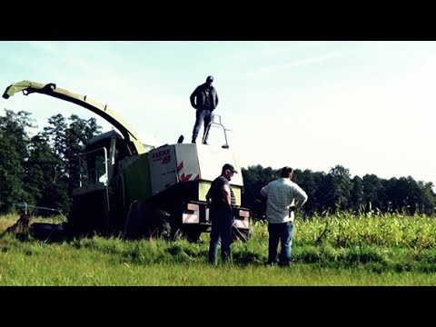 Jak eliminować deformację stóp Środki folk leczenie kości kciuka