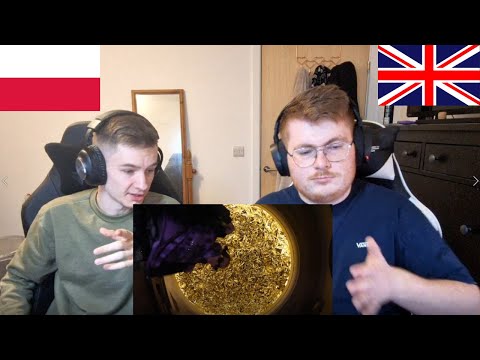 GOOD VIBES!! WAIMA - SAM - ENGLISH AND POLISH REACTION!