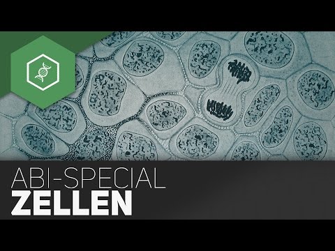 CELLS Tips for the Biology A-Levels - A-Levels in a nutshell