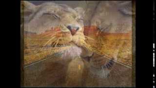 N'y pense plus, tout est bien - Hugues Aufray