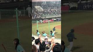 【TeamTaiwan】#台灣尚勇 #衣宸 #包子 #禹菡 #冬季聯盟@斗六棒球場 20241130 #台湾チア #啦啦隊  #cheerdance #cheerleader #cpbl #awb