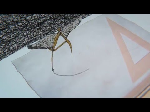 The Villa Rosa: Angels and Angles