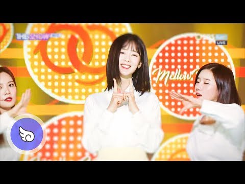 [180914~181003] Berrygood(베리굿) - Mellow Mellow(멜로멜로) / 교차편집(Stage Mix)