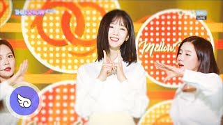 [180914~181003] Berrygood(베리굿) - Mellow Mellow(멜로멜로) / 교차편집(Stage Mix)