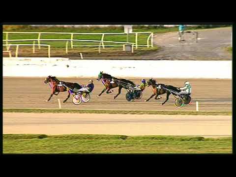 Trotto 16/10/2020 - 1ª prova di qualifica