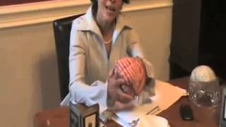 DISCONNECT by Devra Davis