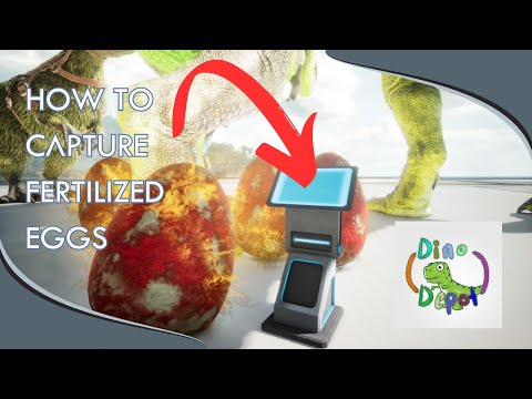 Find out how to capture fertilized eggs in Dino Depot Automatically