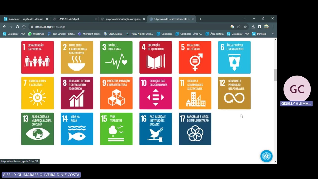 PROJETO DE EXTENSÃO UNOPAR ANHANGUERA