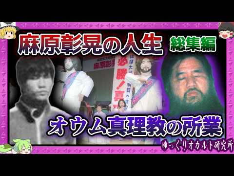 オウム:想像力豊かな愛好家