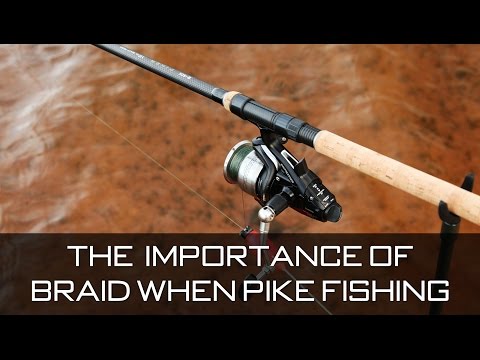 The Importance Of Braid When Pike Fishing