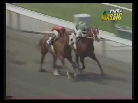 , title : 'MATCH RACE - Quarter Horse -vs- Thoroughbred'