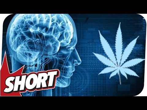Hirnschäden durch Cannabis-Entzug? Risiken & Fakten