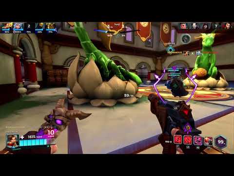 Damage healer Paladins - Corvus Mrnevernegative