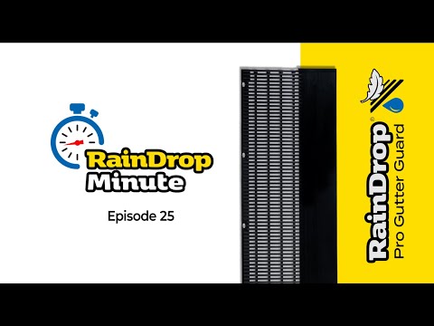 RainDrop Minute: RainDrop's Smooth Rounded Surface