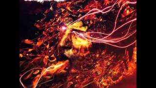 DRONE -  Life Of Riley