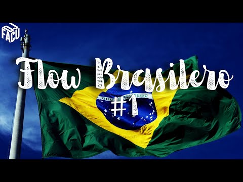 FLOW BRASILERO #1 - Facu Dj 2023 💎
