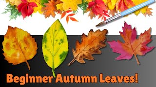 Simple Watercolor Autumn Leaves | Beginner-Friendly Painting Guide
