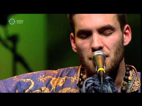 The Carbonfools - Müpa 2013