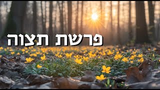 דקה לנשמה עם הרב קראוס - האם החכמה נמצאת בלב או בראש? וגודל מעלת יום פורים