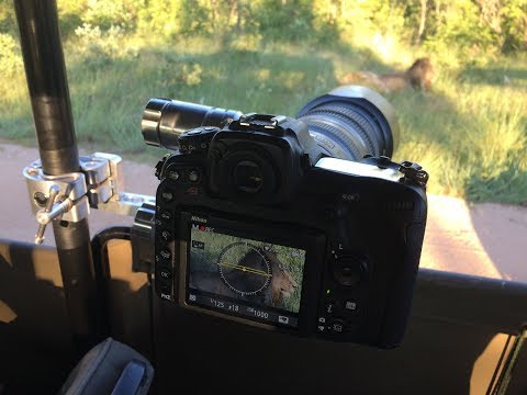 B1 Photo Safaris video.