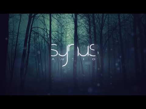 sYnus Audio - Deepwater (Original mix)