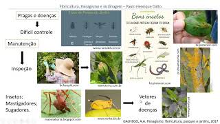 Pragas e doenças em plantas ornamentais