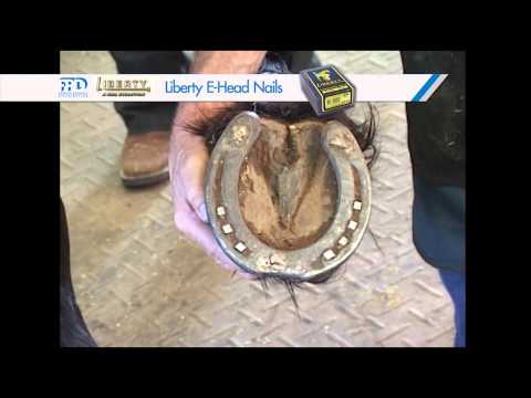 Slide 4 - WH 5 Front 32x12 1/Clip  (video)