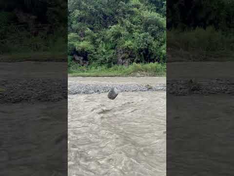 Sadhu pull chail #shorts #sukhpalvlogs #travel