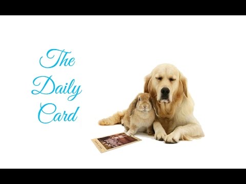 The Daily Card April 28th 2015