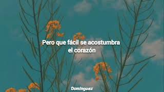 Detonador Lyrics English Translation