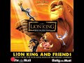 The Lion King Busa