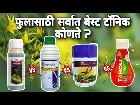 Isabion vs ambition | isabion vs tata bahaar |tata bahar🔥🌱  #isabion #ambition_bayer