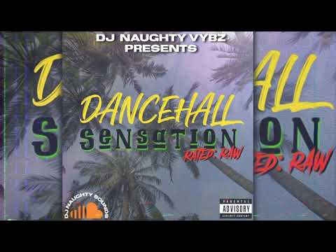 DJ NAUGHTY VYBZ – DANCEHALL SENSATION  (2020 RAW Dancehall)