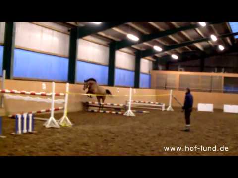 Morena Cancara Quantum