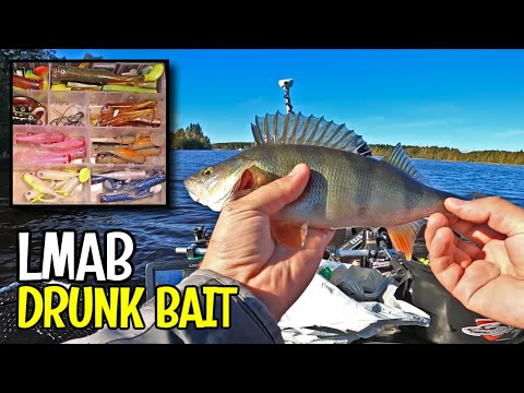 LMAB DRUNKBAIT TESTISSÄ - SOPULI ERÄKONTIOSSA PERJANTAINA 17.9