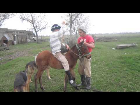 jineteada del potrillo parte 2
