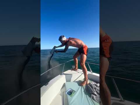 He Gave His Dog One Last Swim… A Truly Heartfelt Goodbye 🥺🐶🌊💔✨ #shorts #viral