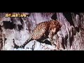 Jaanwar Rajesh Khanna Full Movie