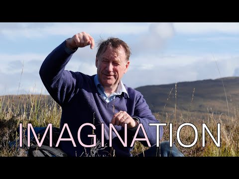 Tim Ingold "The Young, The Old And The Generation Of Now"