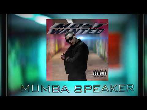 ATC Taff - MUMBA SPEAKER