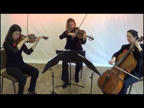 Take That Greatest Day String Trio