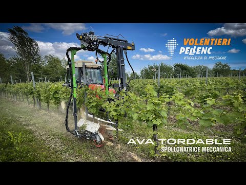 Spollonatrice meccanica AVA TORDABLE 6CC su TMI