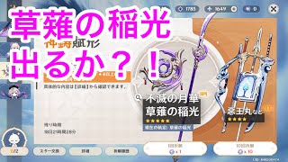 原神 l 草薙の稲光出るか？！