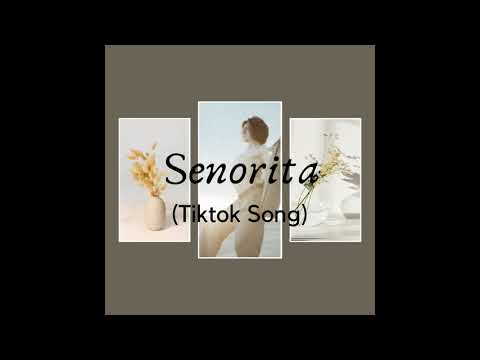Senorita - DJ Noiz feat. Kennyon Brown, Donell Lewis & Konecs| Señorita Come With Me || Tiktok Song